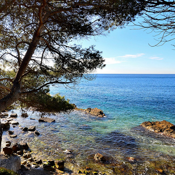 Ile Sainte-Marguerite